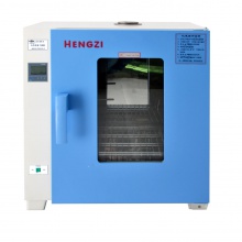 HGZN-II-72 电热恒温干燥箱 烘干固化箱（外门带观察窗）